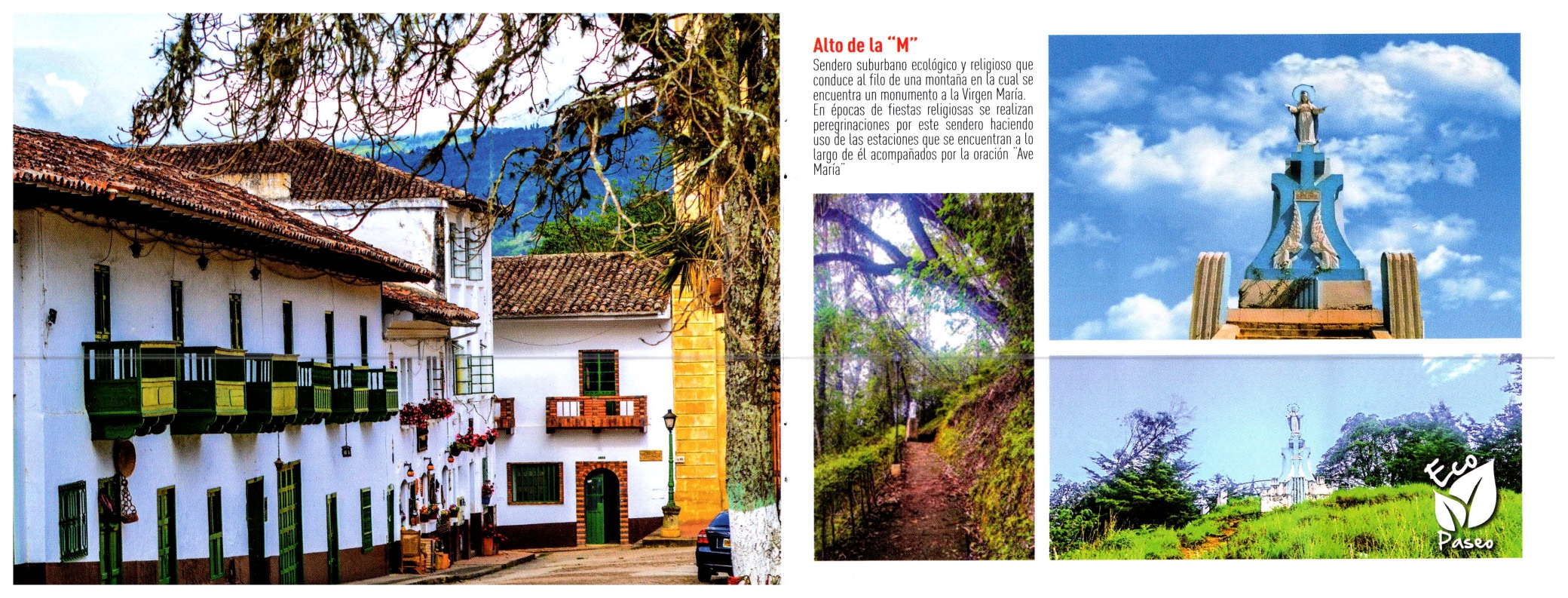 Imagen 3 de GASTRONOMÍA