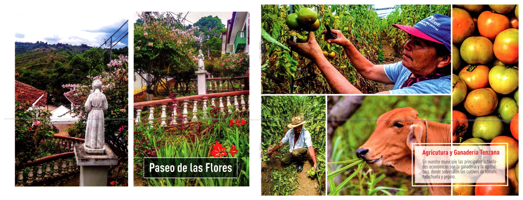 Imagen 2 de ATRACTIVOS TURISTICO 2